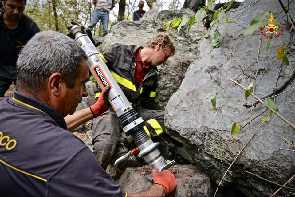 cane intrappolato vigili del fuoco