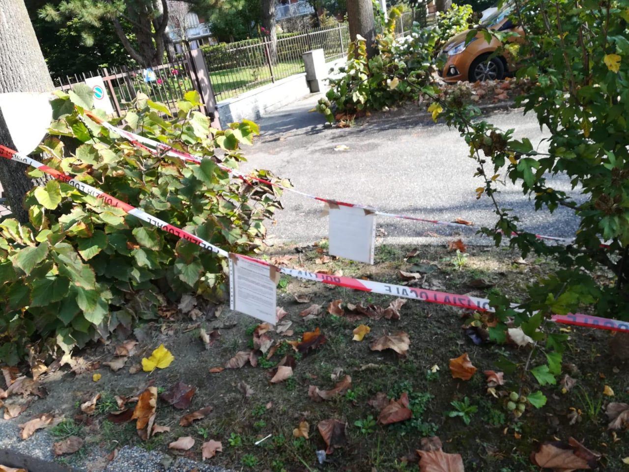 Bocconi avvelenati nei parchi di San Mauro