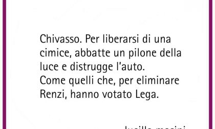 Si schianta in auto per ammazzare una cimice, l'ironia del web