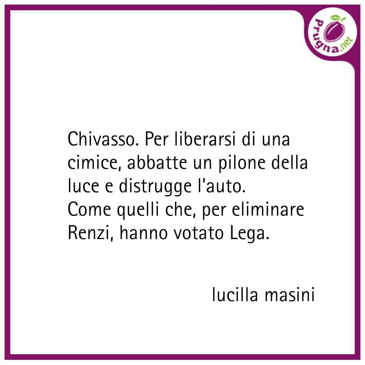 Si schianta in auto per ammazzare una cimice, l'ironia del web. Un post su Facebook paragona l'insetto all'ex Premier Renzi. 