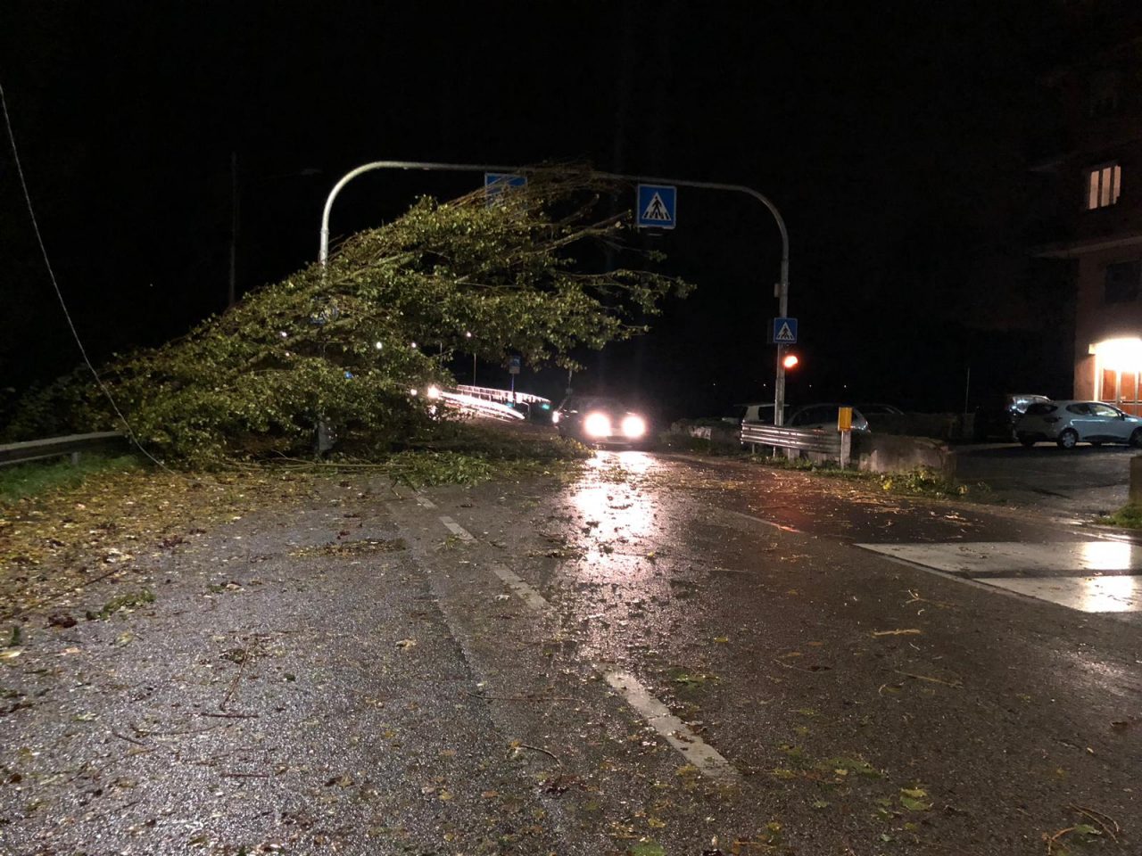 Tromba d’aria sul Chivassese, alberi abbattuti e disagi alla viabilità