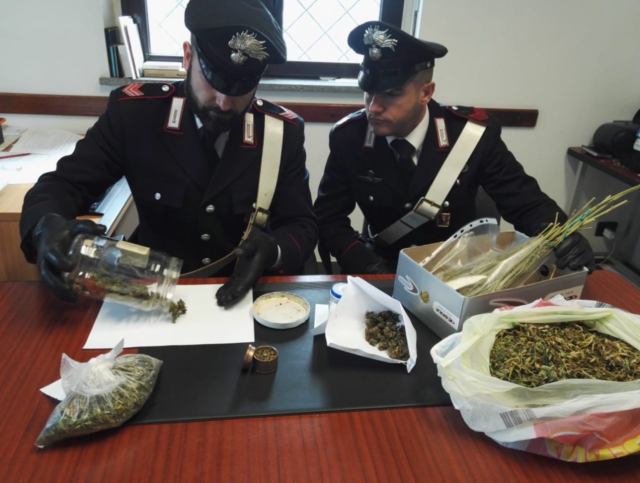 Sequestrata marijuana: i carabinieri ne trovano 240 grammi FOTO E VIDEO