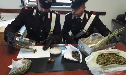 Sequestrata marijuana: i carabinieri ne trovano 240 grammi FOTO E VIDEO