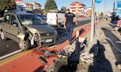 Si schianta contro un palo per scacciare una cimice dall'abitacolo