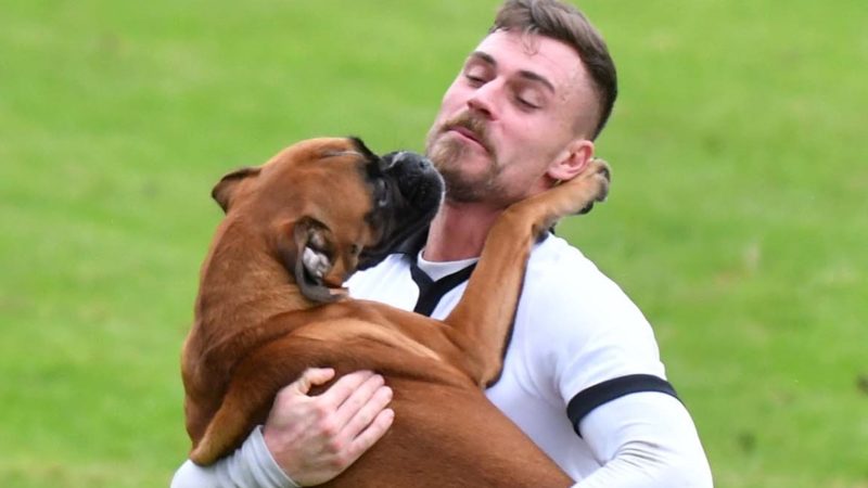 Cane invade il campo durante una partita di calcio
