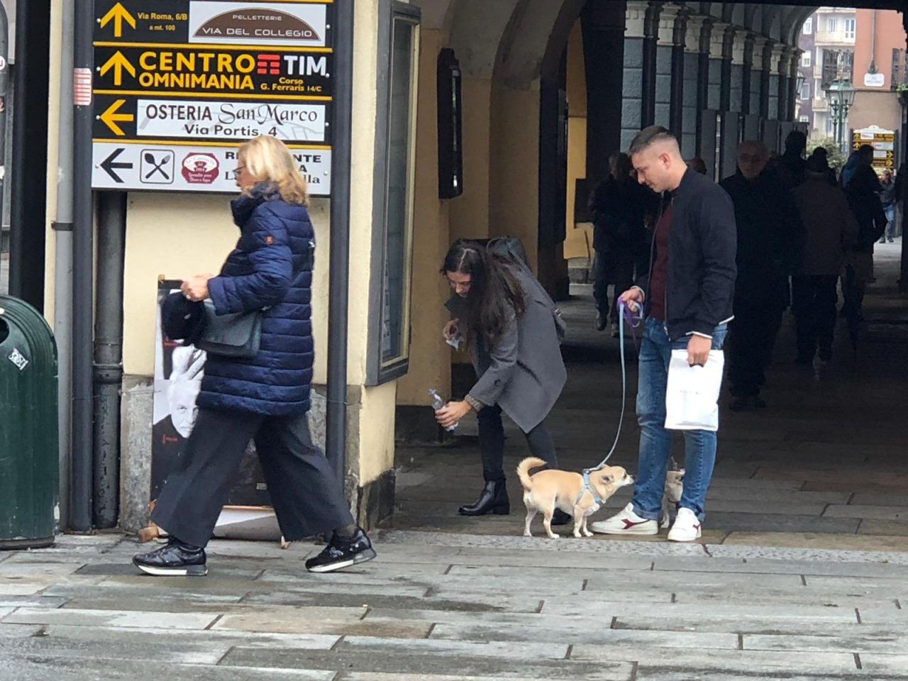 Pipì dei cani, adesso i padroni puliscono in centro