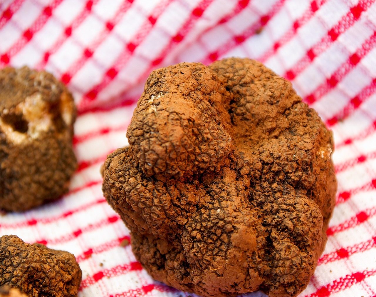 A Torino una due giorni dedicata al tartufo