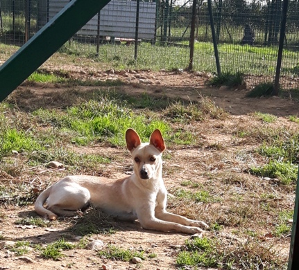Masha e Dida cercano una famiglia