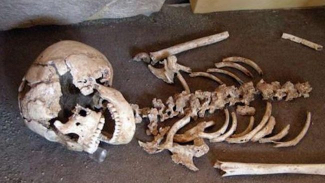 Trovato sacco pieno di ossa umane
