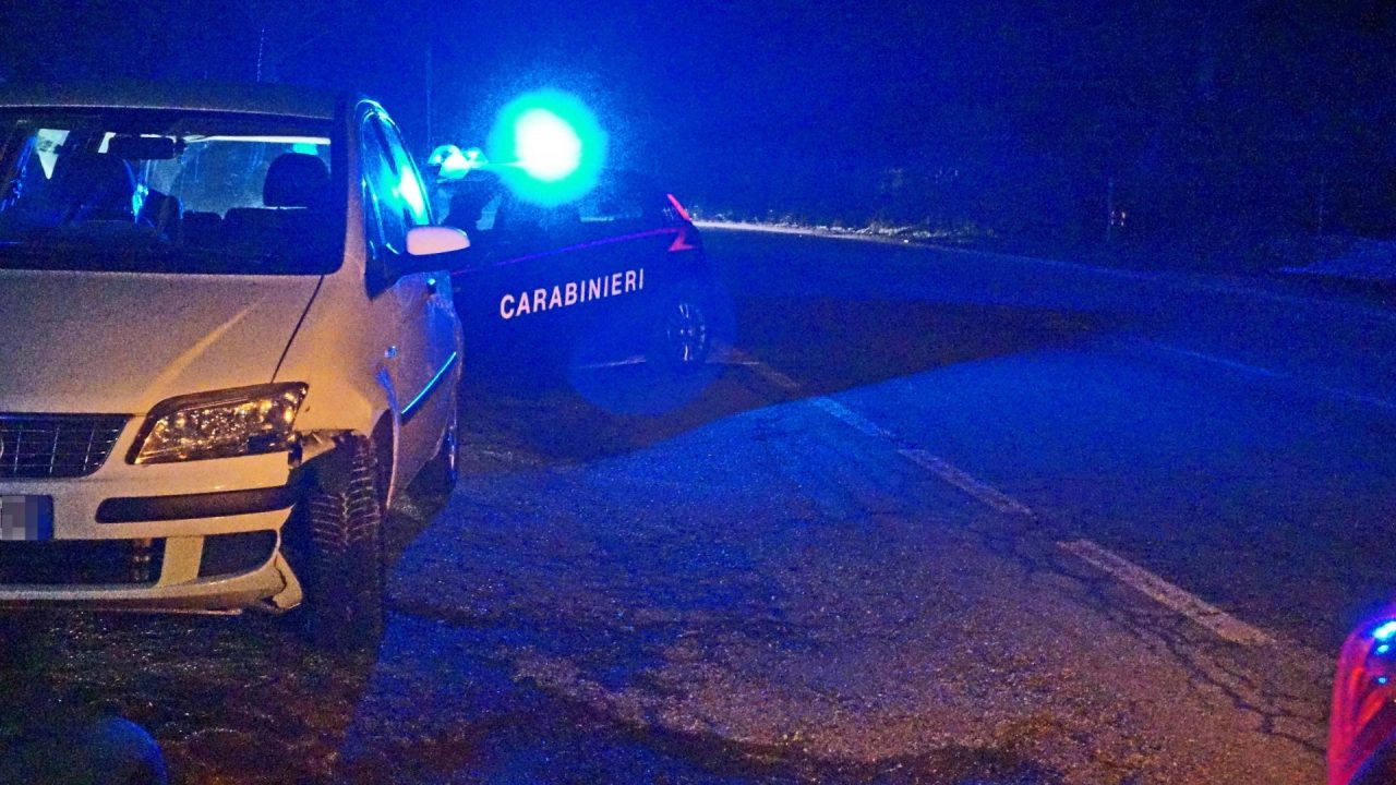 Cinghiale causa incidente, due macchine coinvolte