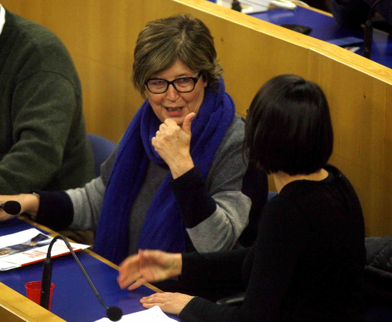 Partito Democratico Settimo Torinese Elena Piastra elezioni amministrative comunali 2019