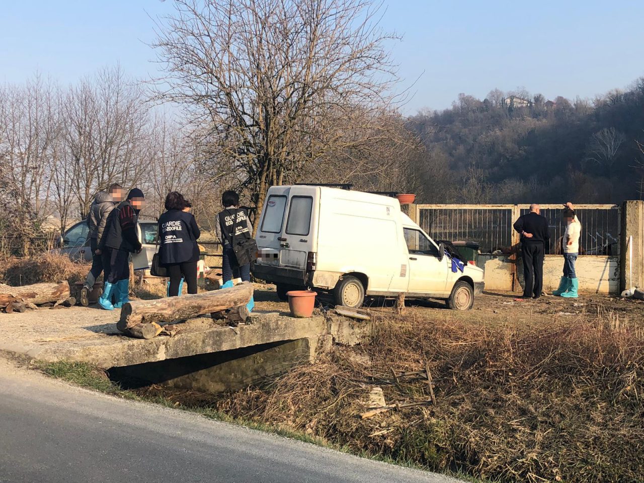 Pony e pecore tra i rifiuti: blitz di arma e animalisti