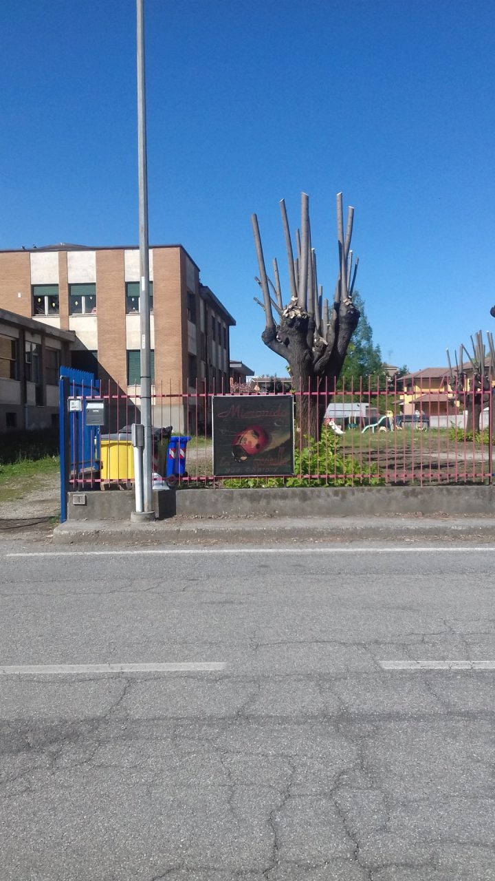 Bambini maltrattati al nido, le mamme stanno con le maestre