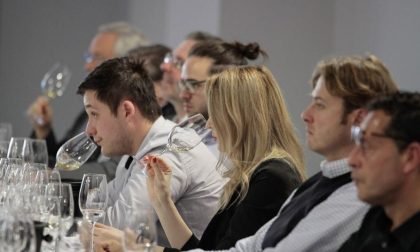 Vinitaly: protagoniste le eccellenze Made in Piemonte