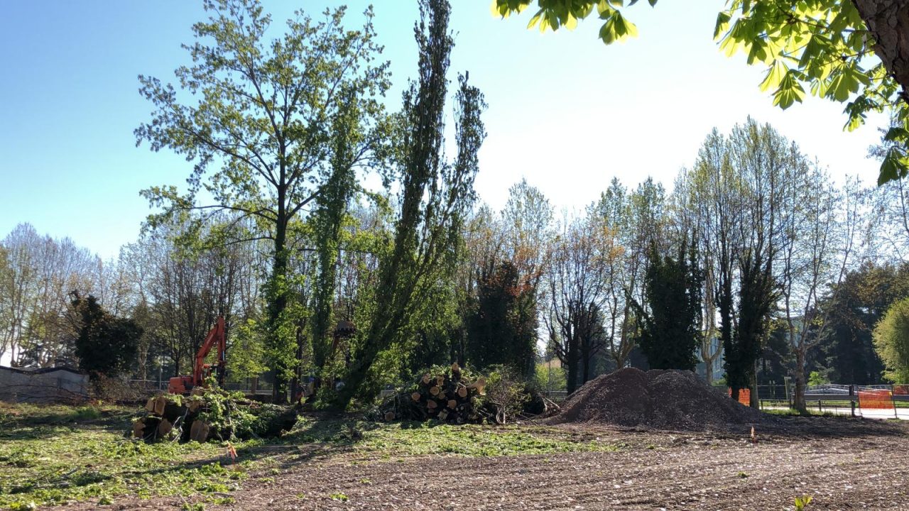Ex Campo Enel, al via l’abbattimento degli alberi FOTO E VIDEO