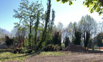 Ex Campo Enel, al via l'abbattimento degli alberi FOTO E VIDEO