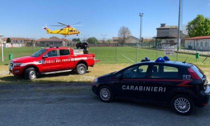 Sbanda con l'auto, finisce contro un albero e distrugge un cartello stradale