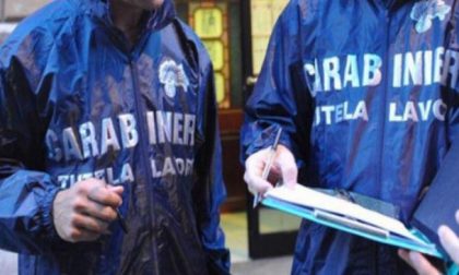 Aveva otto lavoratori in nero, denunciato