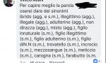 Presidente dell'Anpi di Chivasso insulta il Ministro Salvini