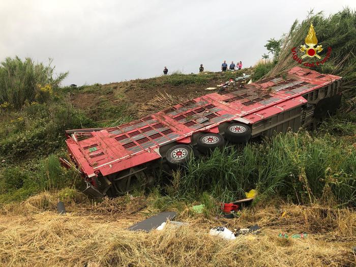 Camion si ribalta, 30 vitelli morti: feriti autista di Cavour e moglie di Pinerolo