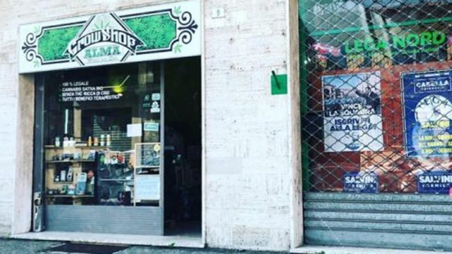 “Chiudete i cannabis shop piemontesi”: l’affondo di Fratelli d’Italia