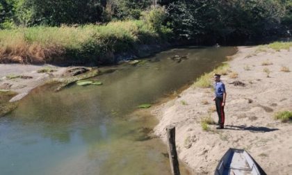 Cadavere ritrovato nel torrente