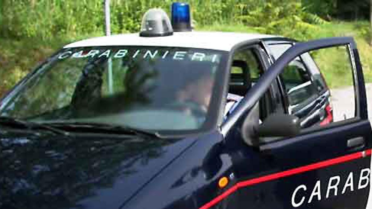 Investe un animale, messa in scena giorni dopo per ingannare assicurazione e Carabinieri: denunciato
