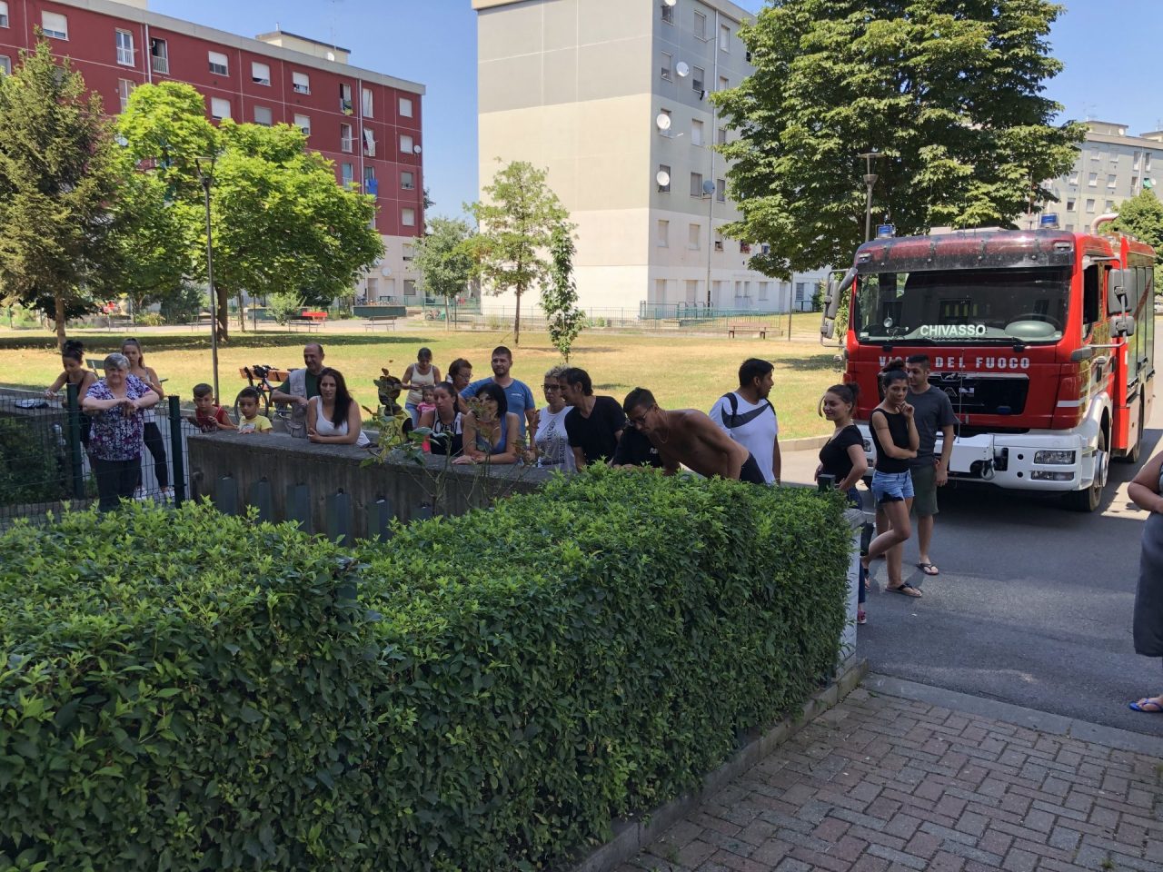 Serpente in via Togliatti, intervento dei vigili del fuoco