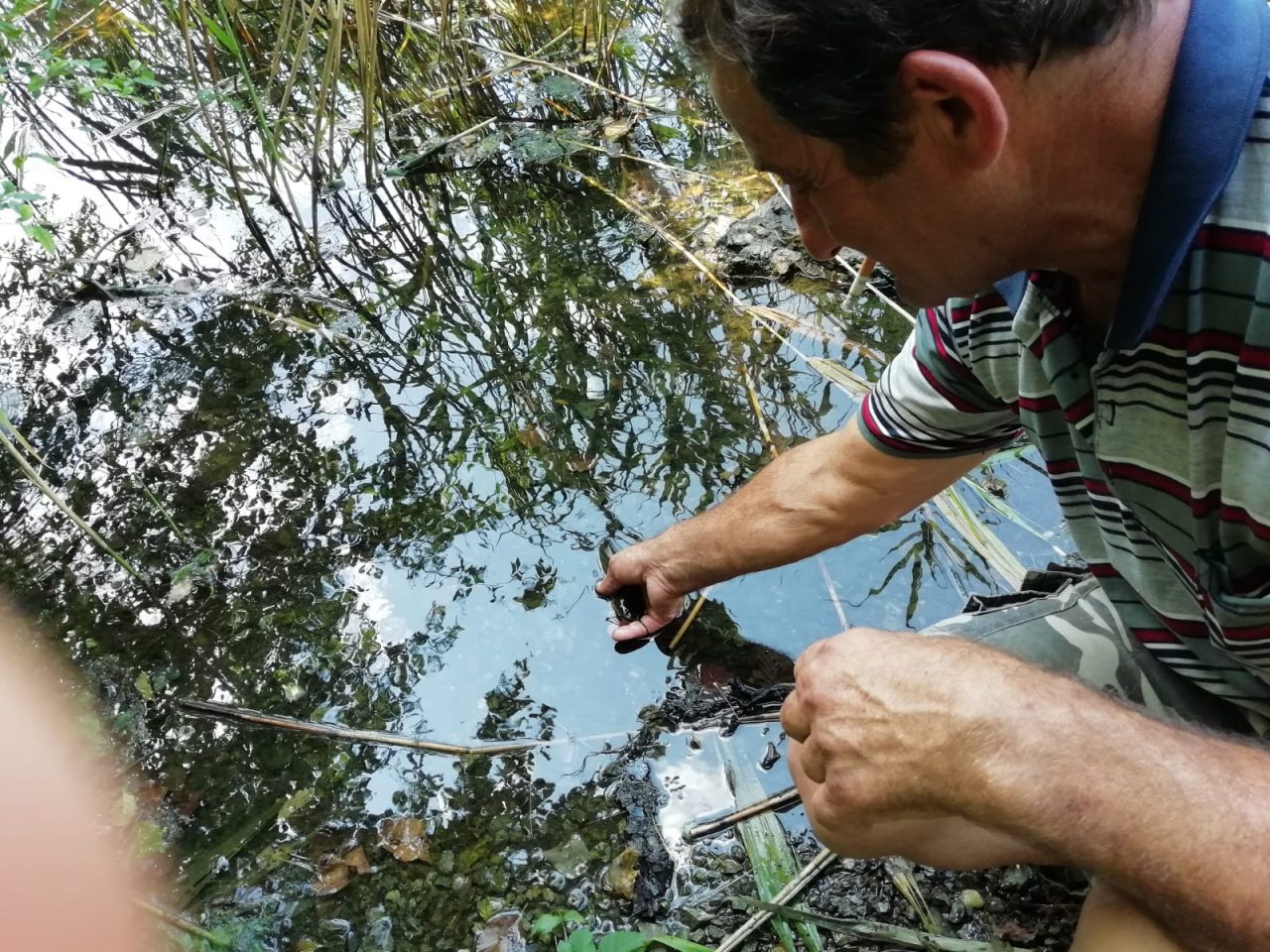 Pesca di frodo sul Lago di Candia, maxi multe LE FOTO