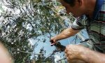 Pesca di frodo sul Lago di Candia, maxi multe LE FOTO