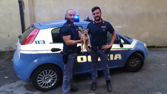 Cucciolo salvato dai poliziotti