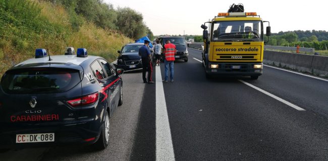 Due ragazzi torinesi morti investiti nel Veronese