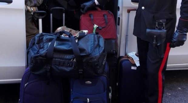 Ladro di bagagli, arrestato professionista di furti ai danni i turisti