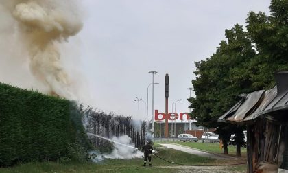 Incendio esteso in via Favorita a Chivasso: bruciano le siepi