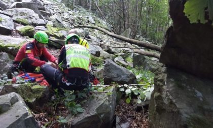 Tragedia in Val Soana: muore un cercatore di funghi