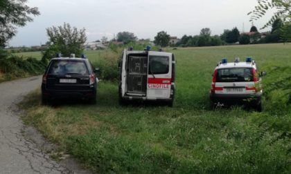 Uomo morto ritrovato nel canale Caluso