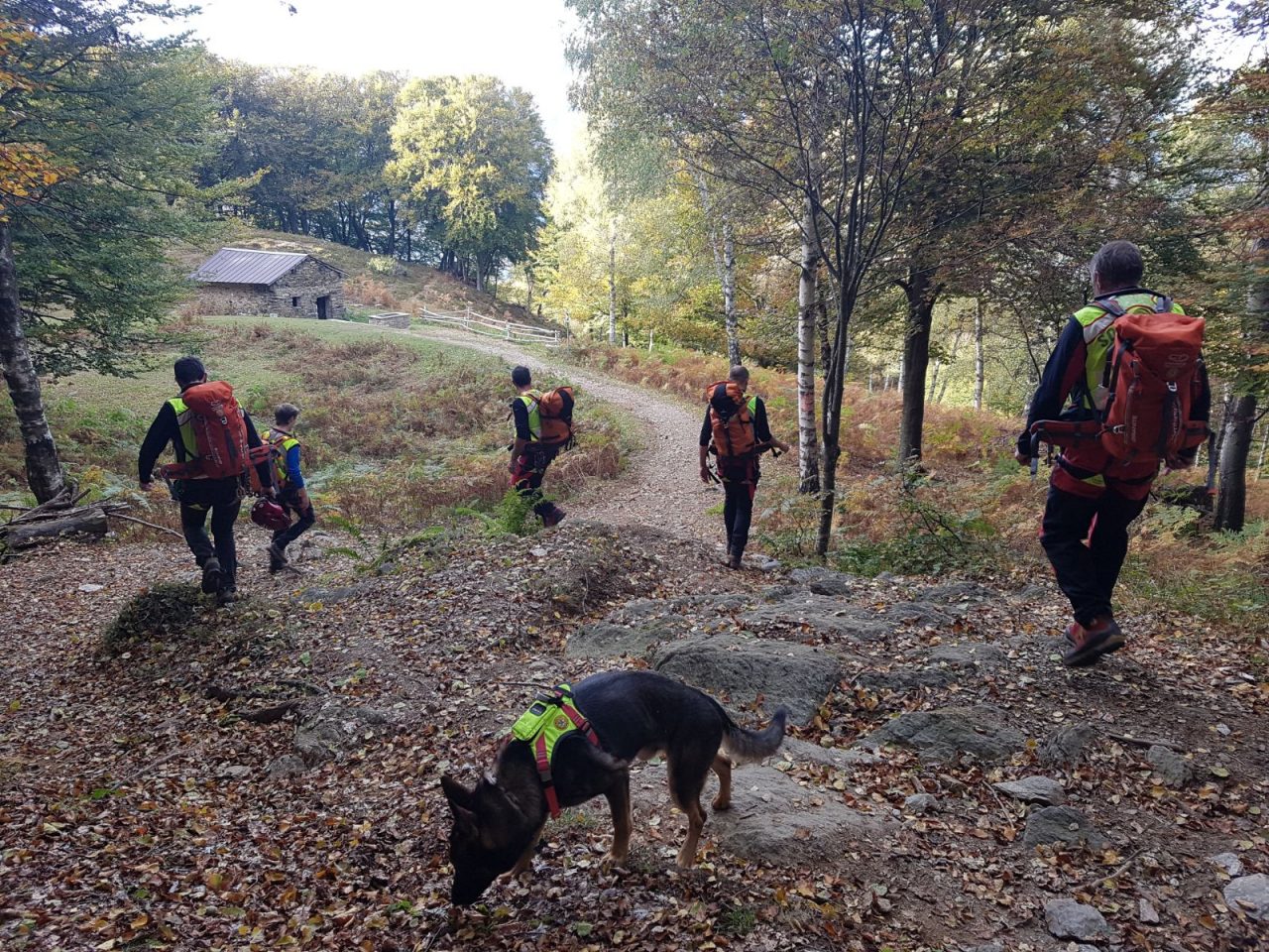 Inizia la stagione dei funghi, ecco i consigli del Soccorso Alpino