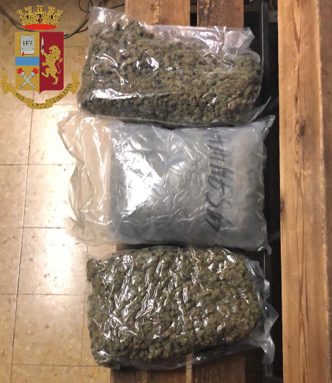 Pensava fosse un ladro invece era uno spacciatore: arrestato