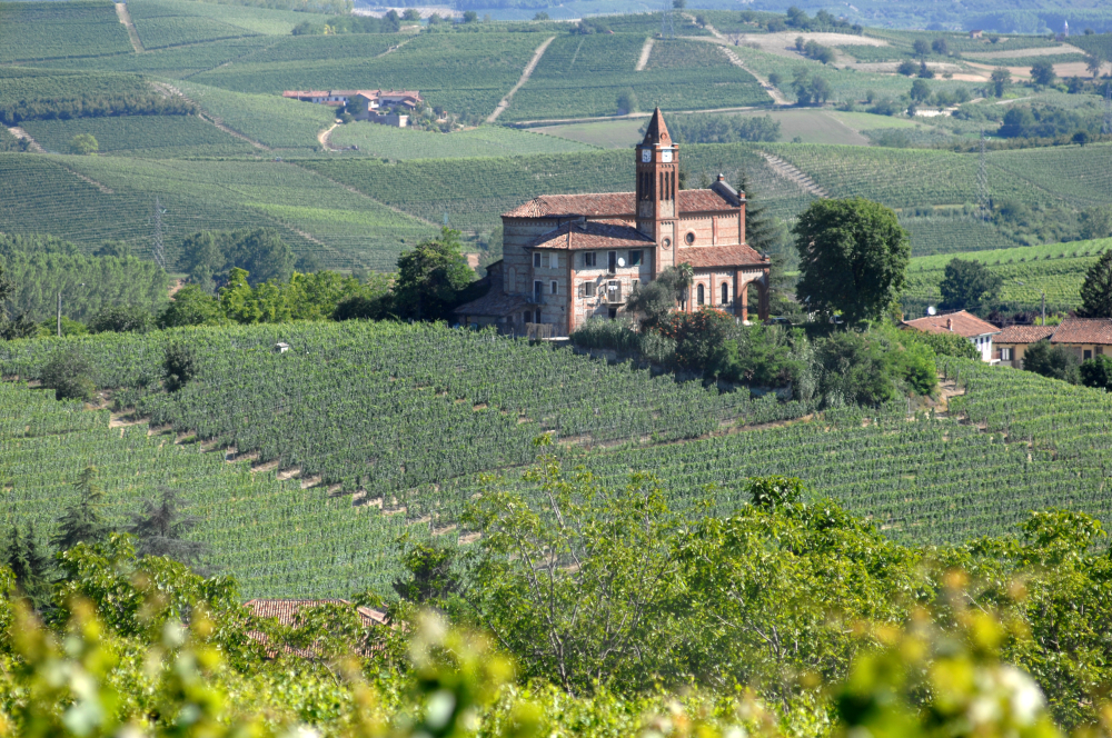 Cantina Terre del Barolo tra le 120 aziende vincenti  “celebrate” da Forbes Italia