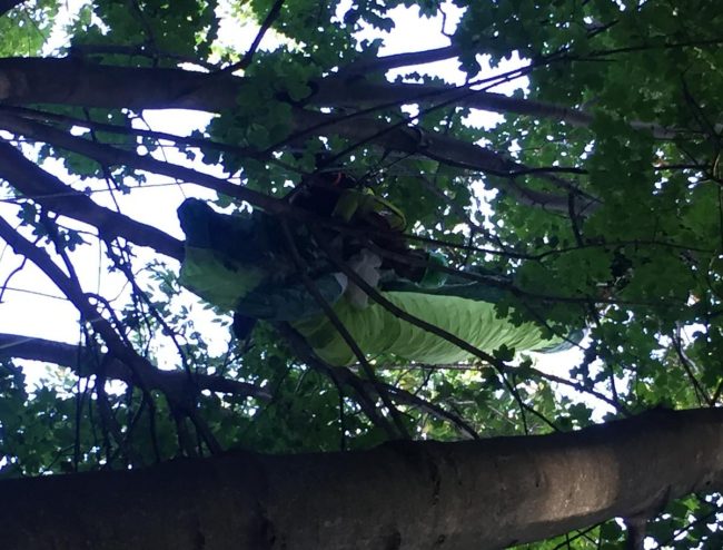 Cade col parapendio e rimane appeso a un albero IL VIDEO