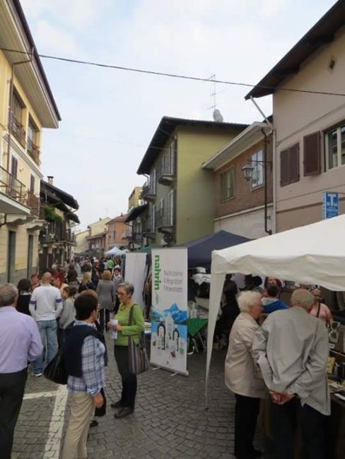 «Troppi soldi alla Sagra del Fagiolo, Patronale a rischio»