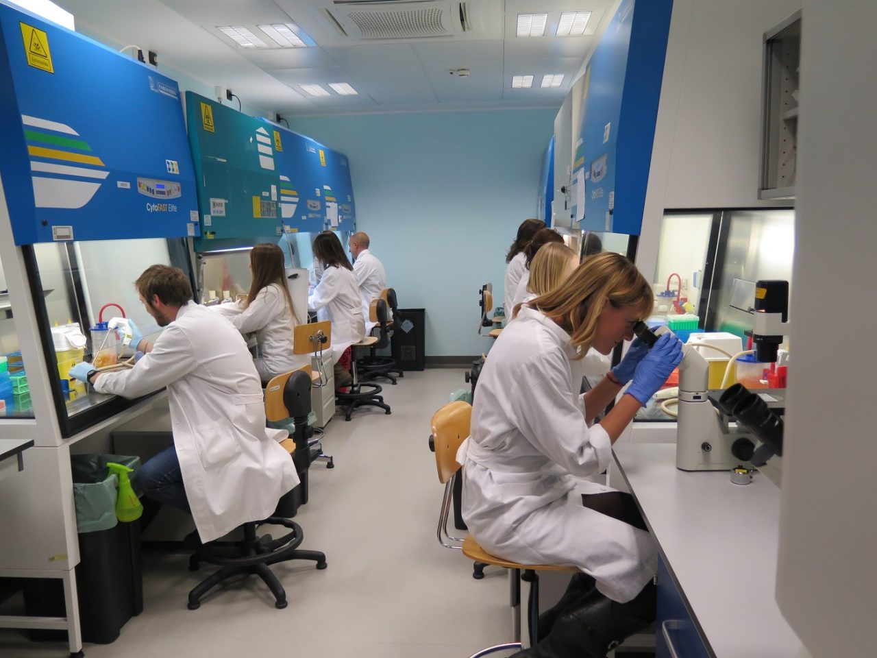Tumori, Nova Coop promuove screening gratuiti