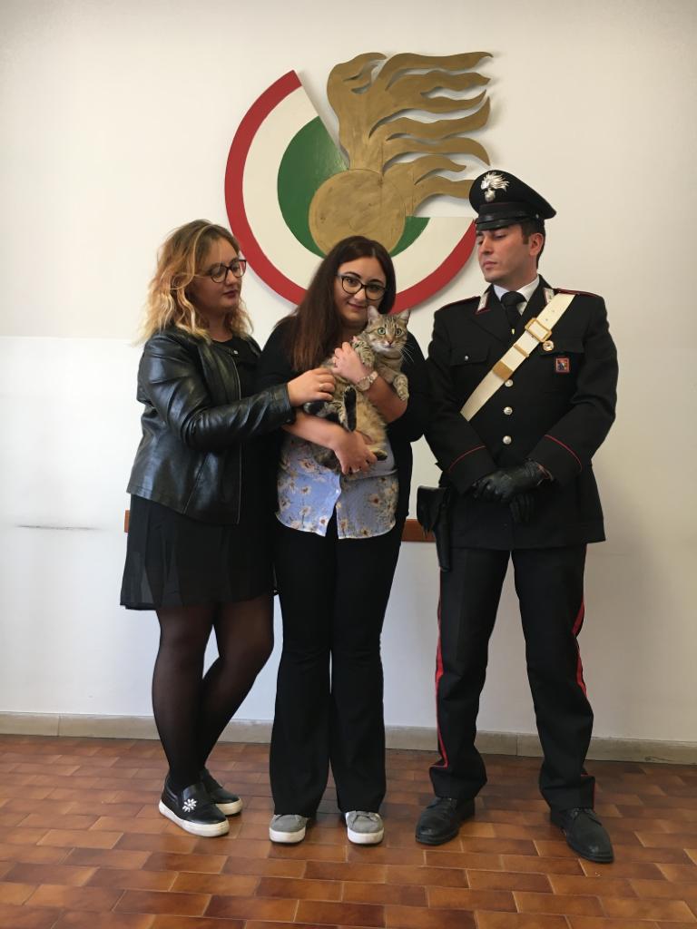 Chiede riscatto per restituire il gatto, arrestata per estorsione