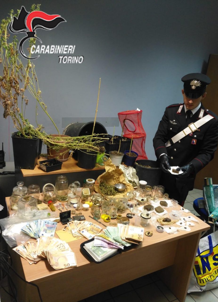 Coltivava droga bio, arrestato giardiniere