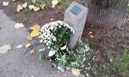 Distrutti i fiori sulle lapidi dei Caduti, il sindaco: "Sono degli imbecilli" LE FOTO
