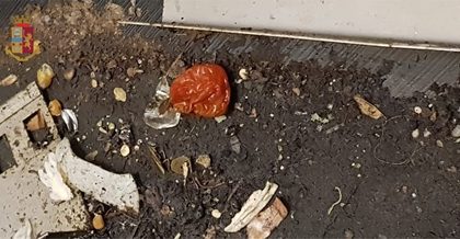 Cucine tra sporco, blatte e cibi mal conservati a Torino