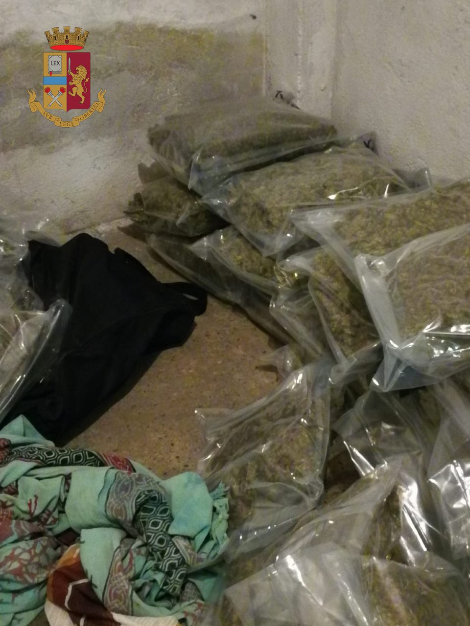 Droga, preso il carico di Natale di marijuana FOTO E VIDEO