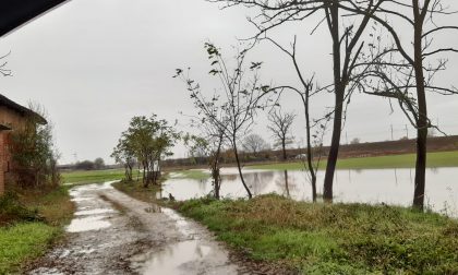 Maltempo, scuole chiuse domani a Brandizzo