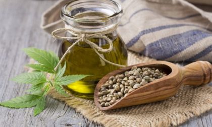 Coldiretti Torino sul via libera agli alimenti derivati dalla canapa