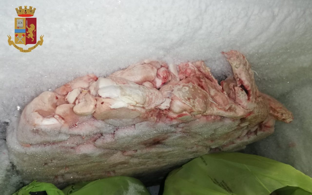 Ristorante da incubo, 200 chili di alimenti conservati male